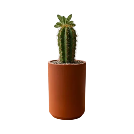 MACETA HIDROMACETERO TSSM-MR59
