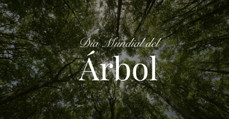 árbol