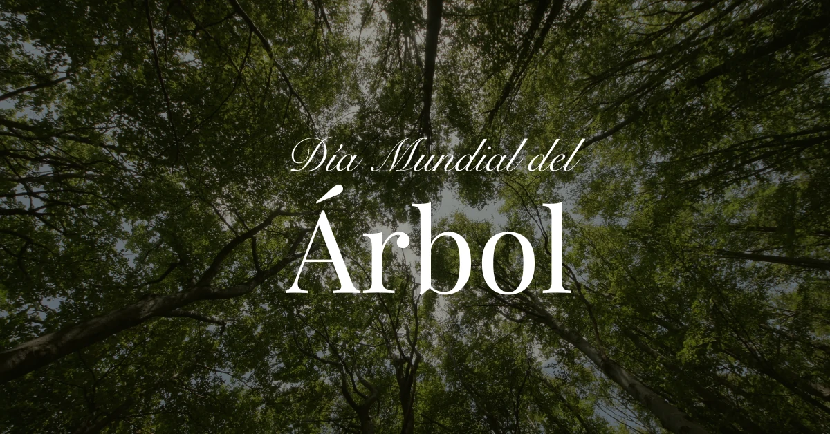 árbol